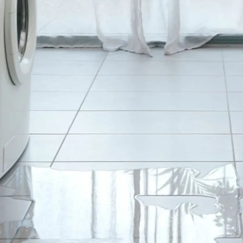 Appliance Leak Cleanup in New Territory, TX