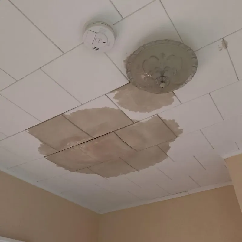 Ceiling Water Damage Repair in New Territory, TX