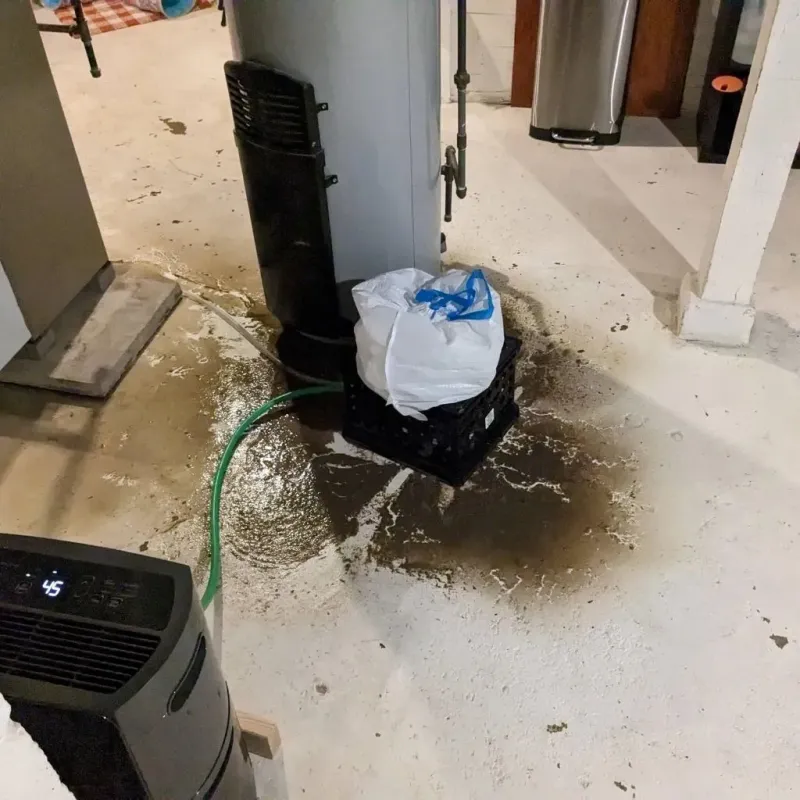 Sewage Backup Cleanup Service in New Territory, TX